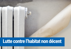 Habitat non décent