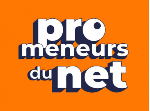 Les promeneurs du net