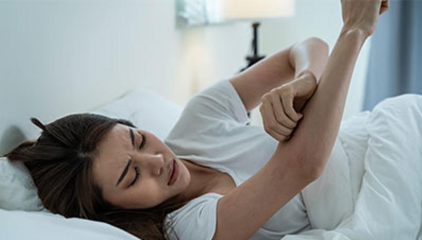 se débarrasser des punaises de lit